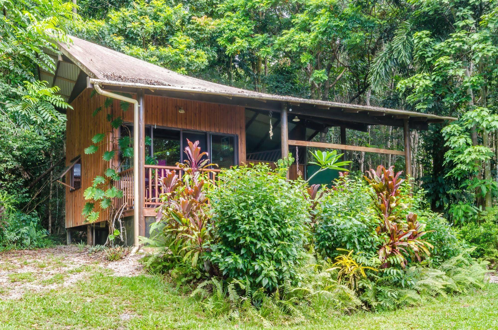 Epiphyte B & B Cow Bay Exterior photo