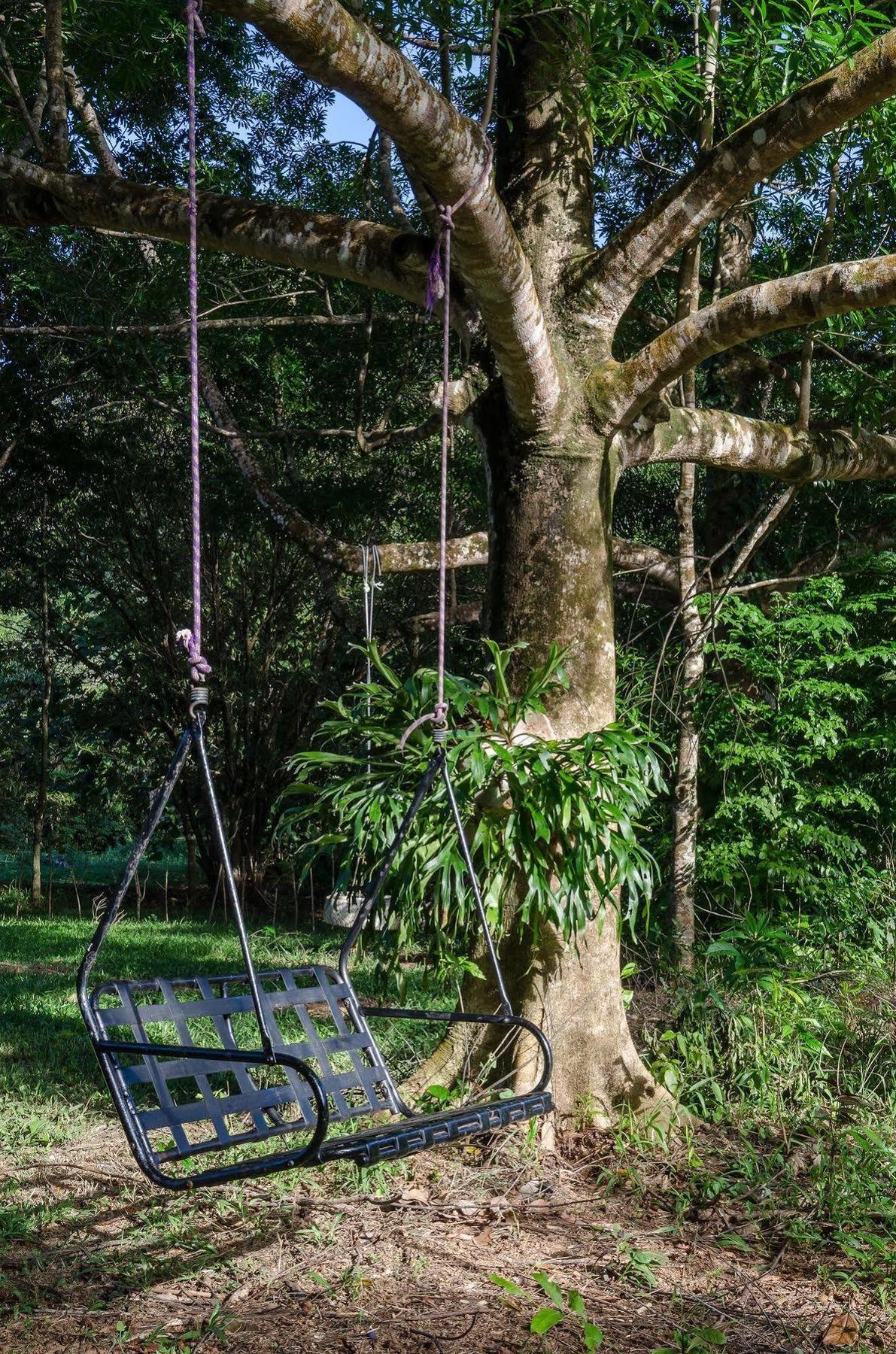 Epiphyte B & B Cow Bay Exterior photo